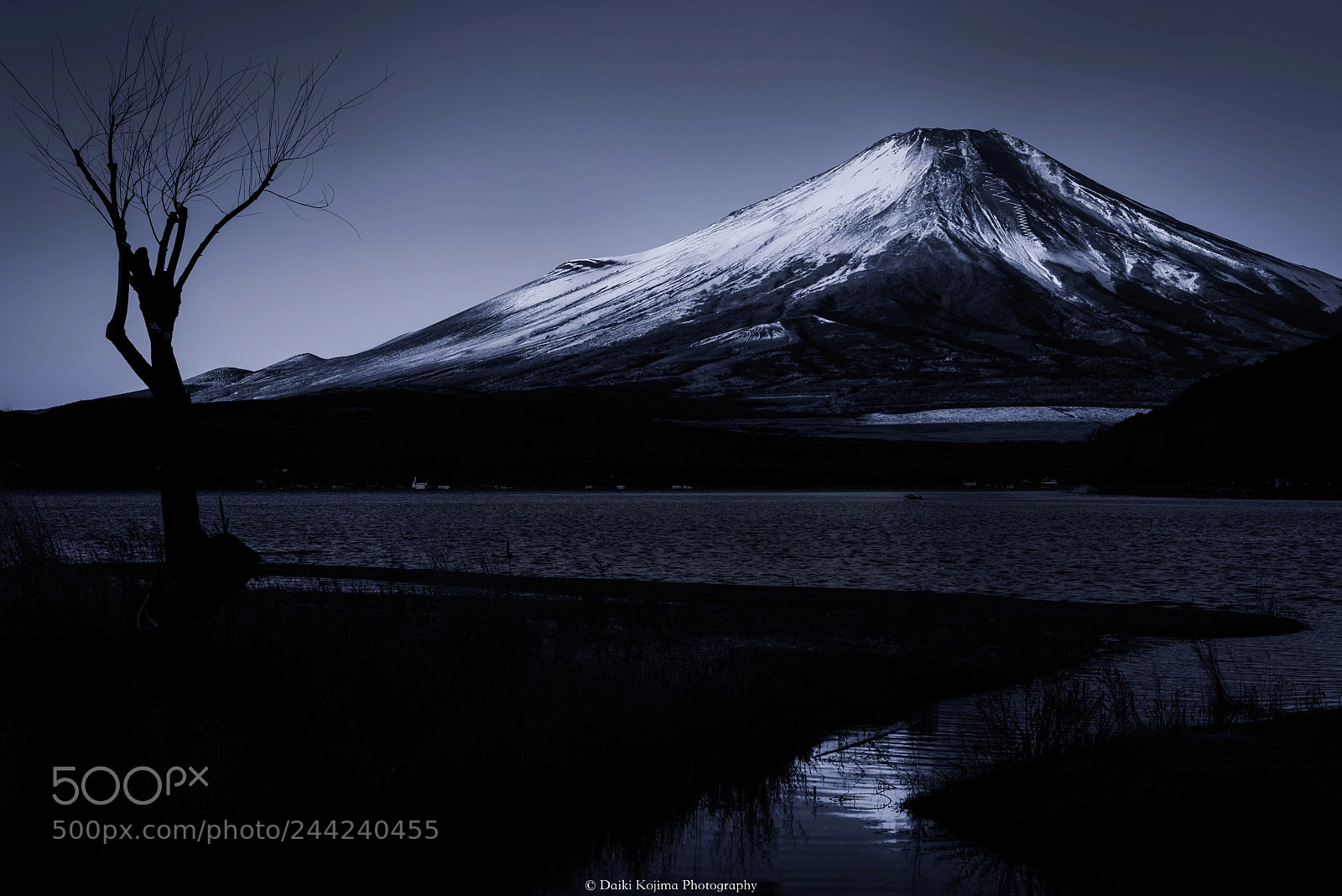 Nikon D810 sample photo. My.fuji photography