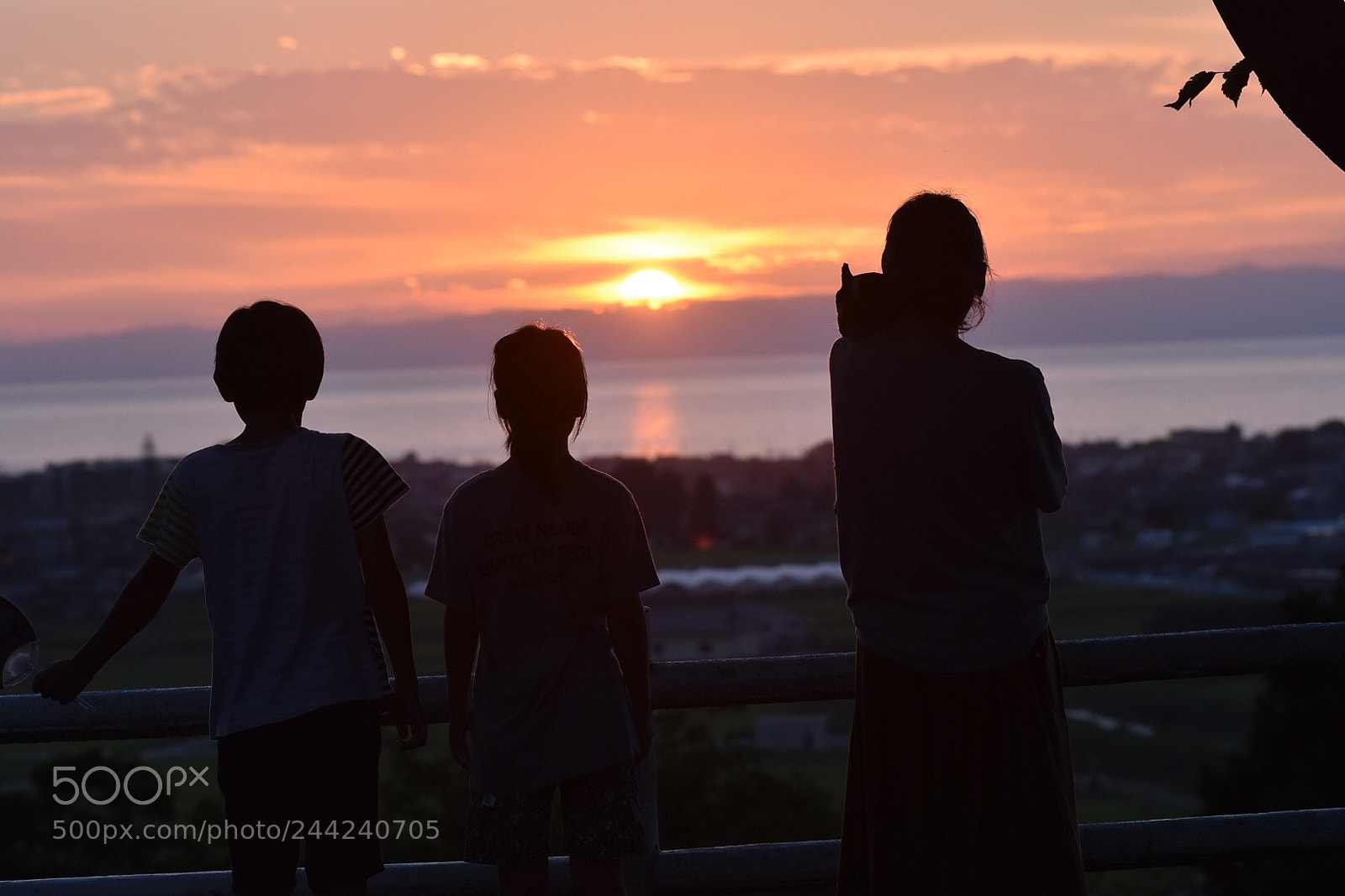 Nikon D7200 sample photo. Trip photography