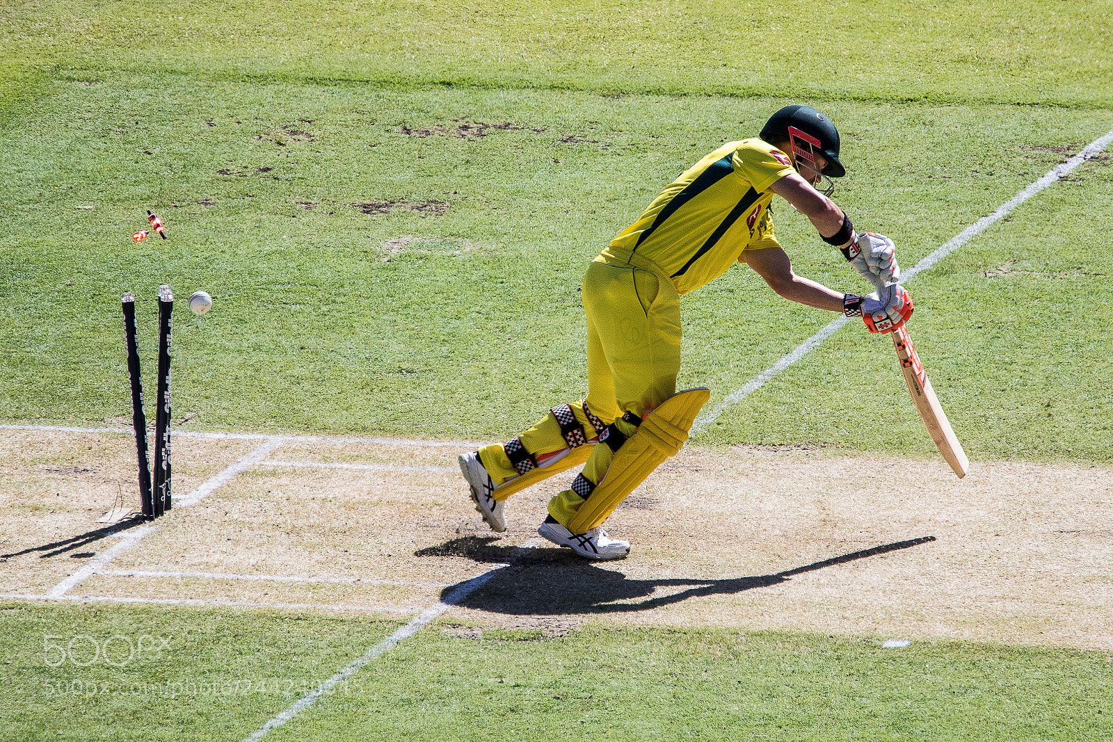 Canon EOS 7D Mark II sample photo. Clean bowled photography