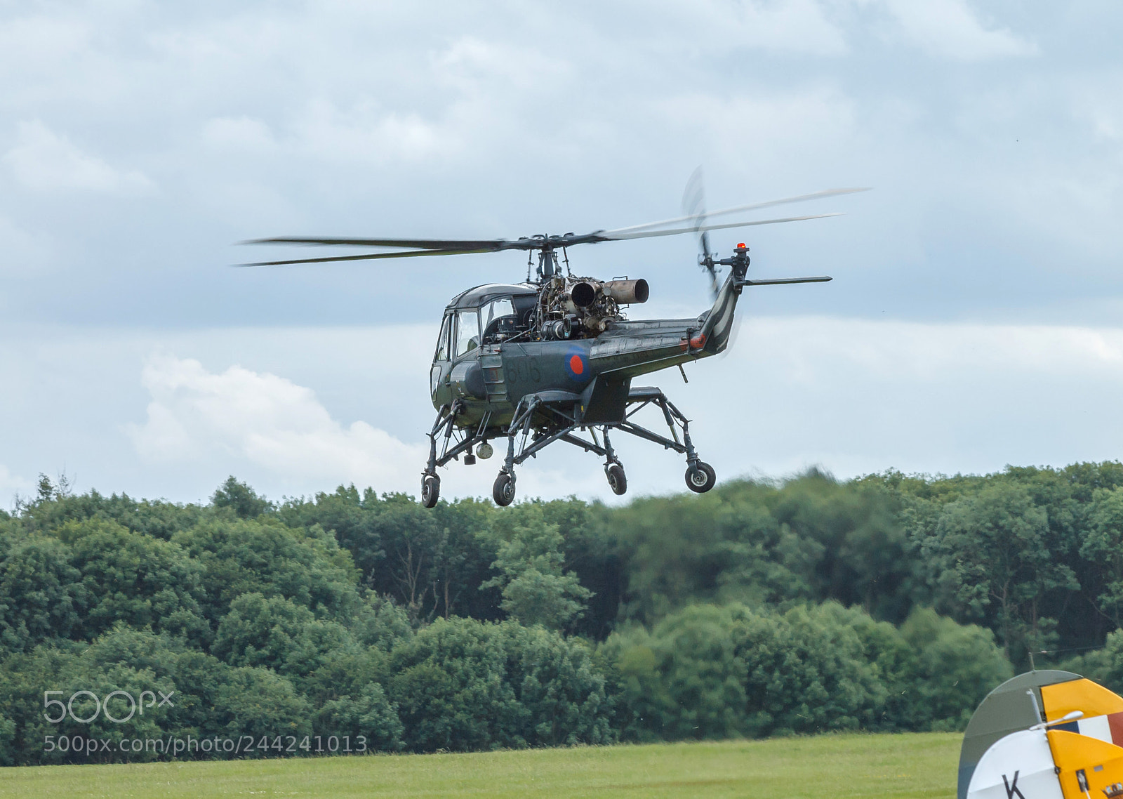 Canon EOS 1100D (EOS Rebel T3 / EOS Kiss X50) sample photo. Wasp airbourne photography