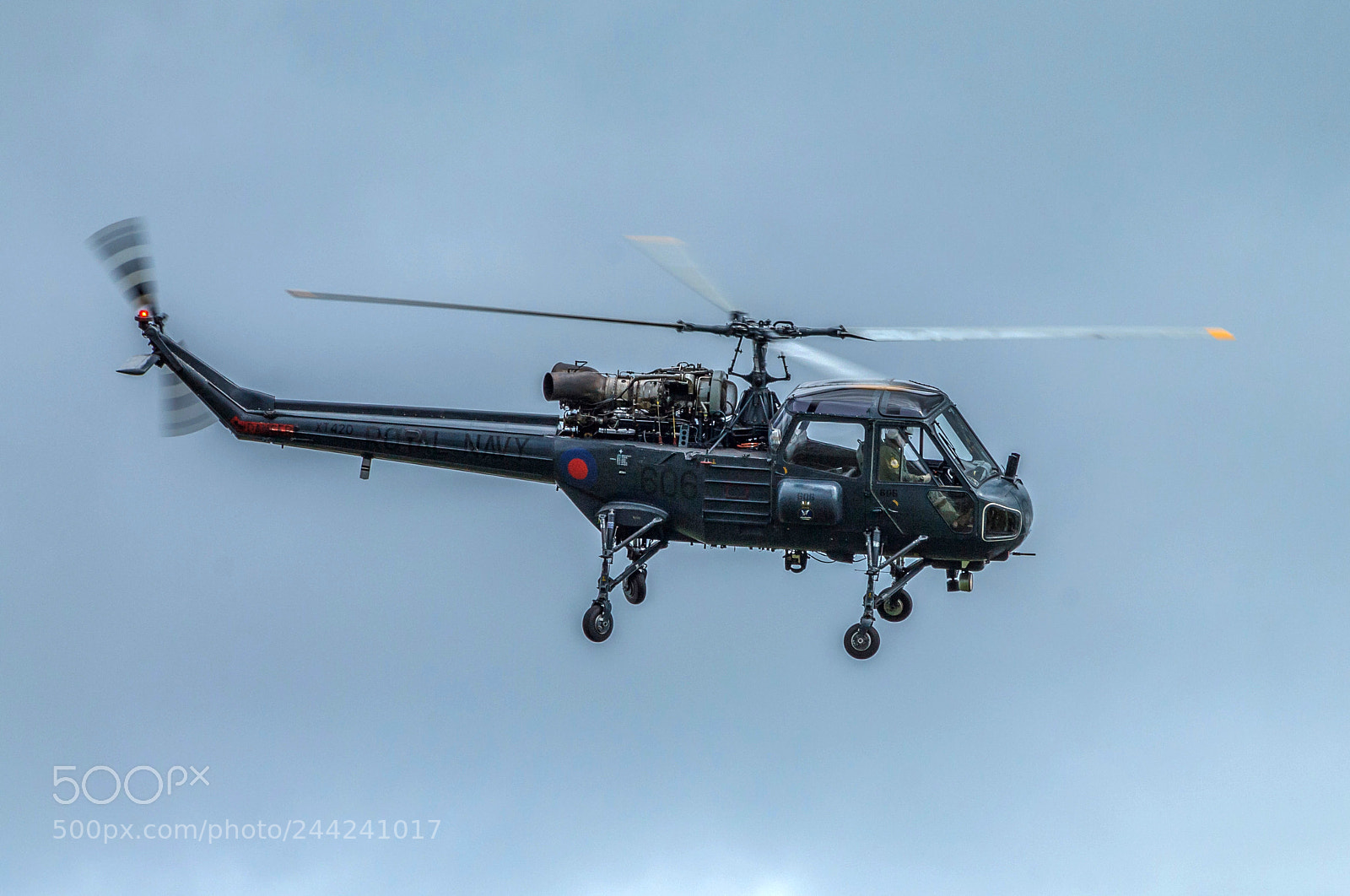 Canon EOS 1100D (EOS Rebel T3 / EOS Kiss X50) sample photo. Westland wasp photography