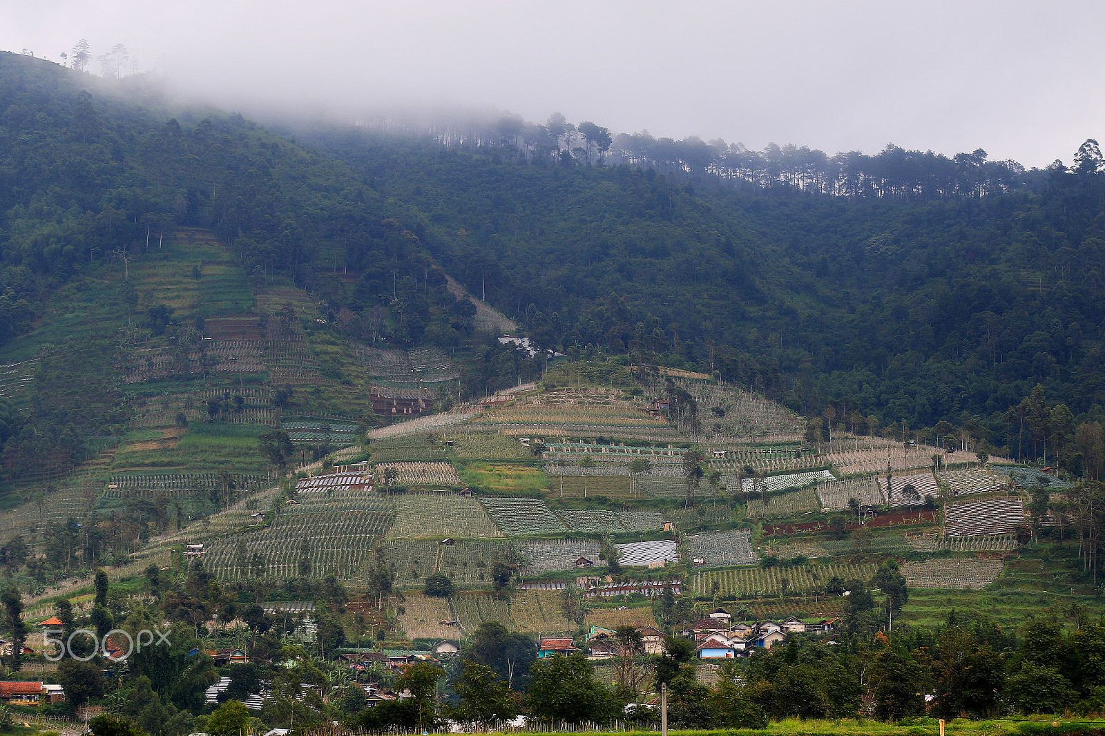 EF75-300mm f/4-5.6 sample photo. Farm in volcanic land photography