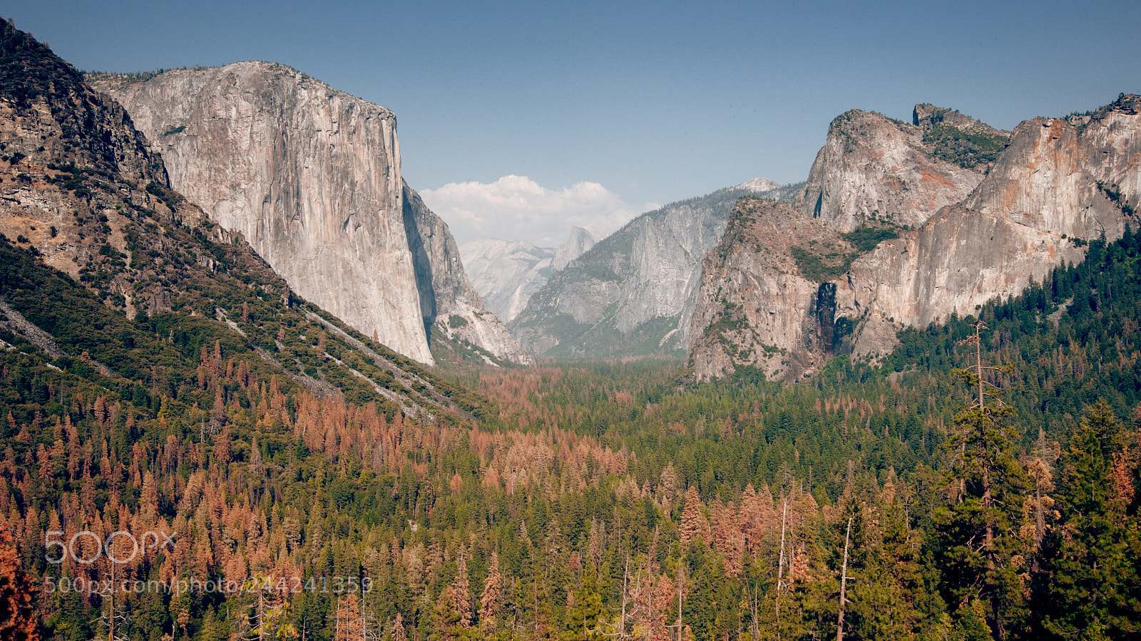 Nikon D700 sample photo. Yosemite photography