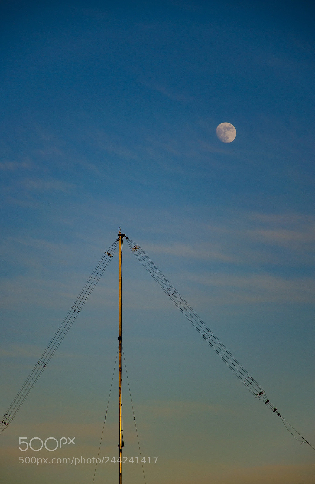 Nikon D5100 sample photo. Radio photography