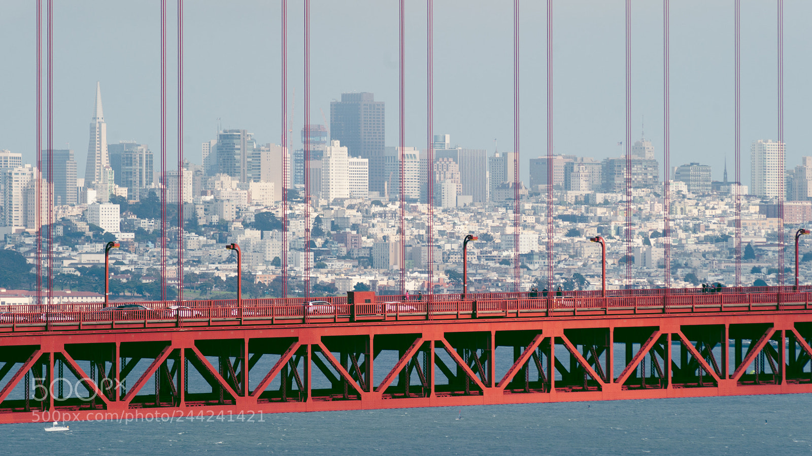 Nikon D700 sample photo. From golden gate bridge photography