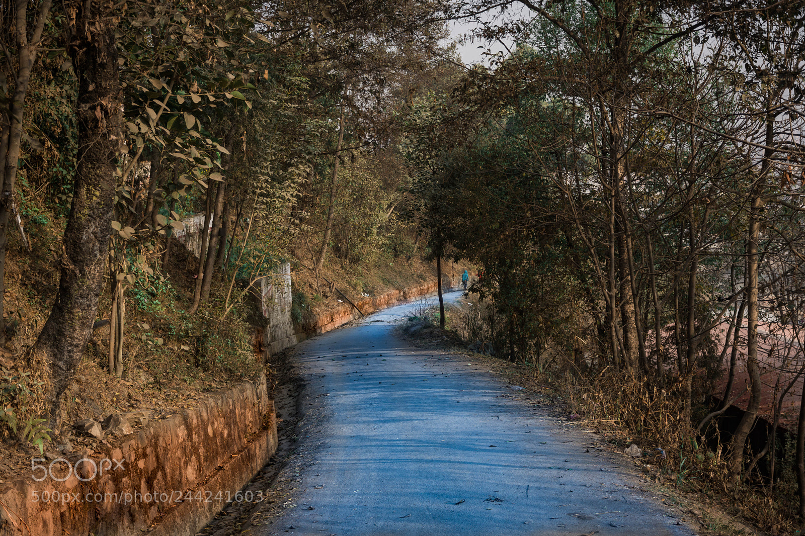 Nikon D7200 sample photo. Road to heaven photography