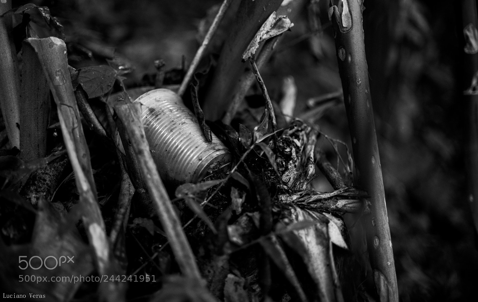 Nikon D610 sample photo. Intocável photography