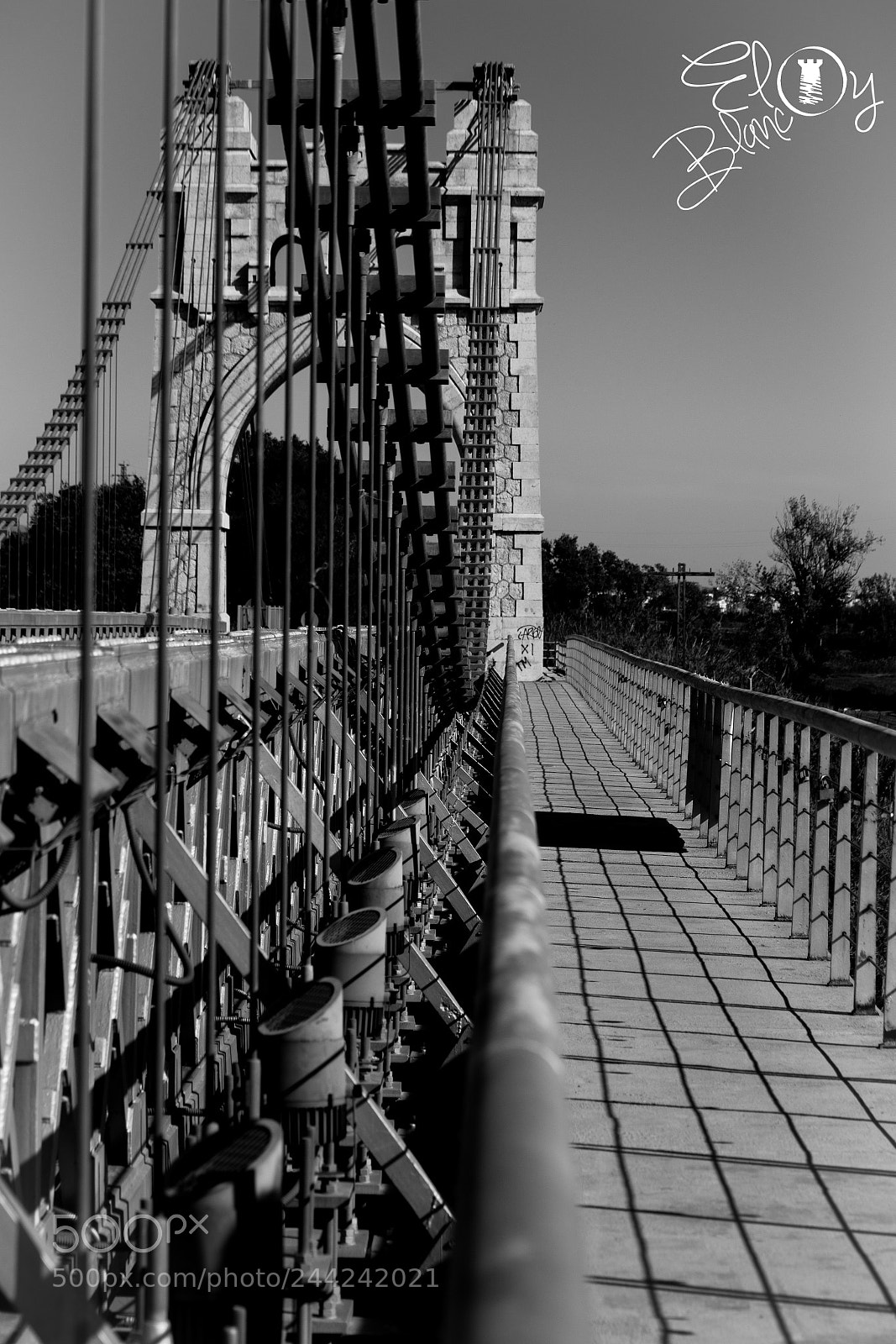 Nikon D500 sample photo. Untitled photography
