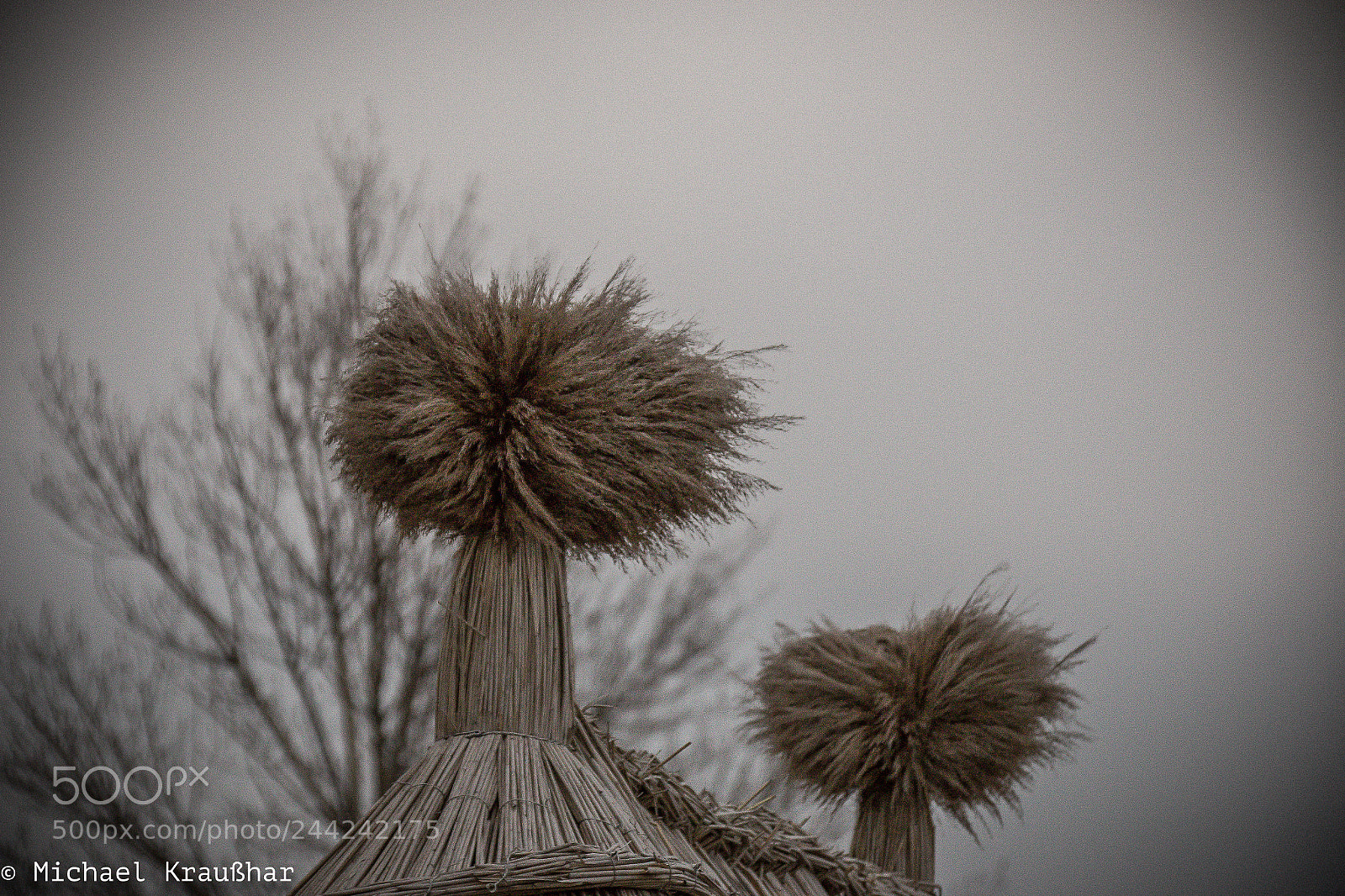 Canon EOS 70D sample photo. Old roof photography