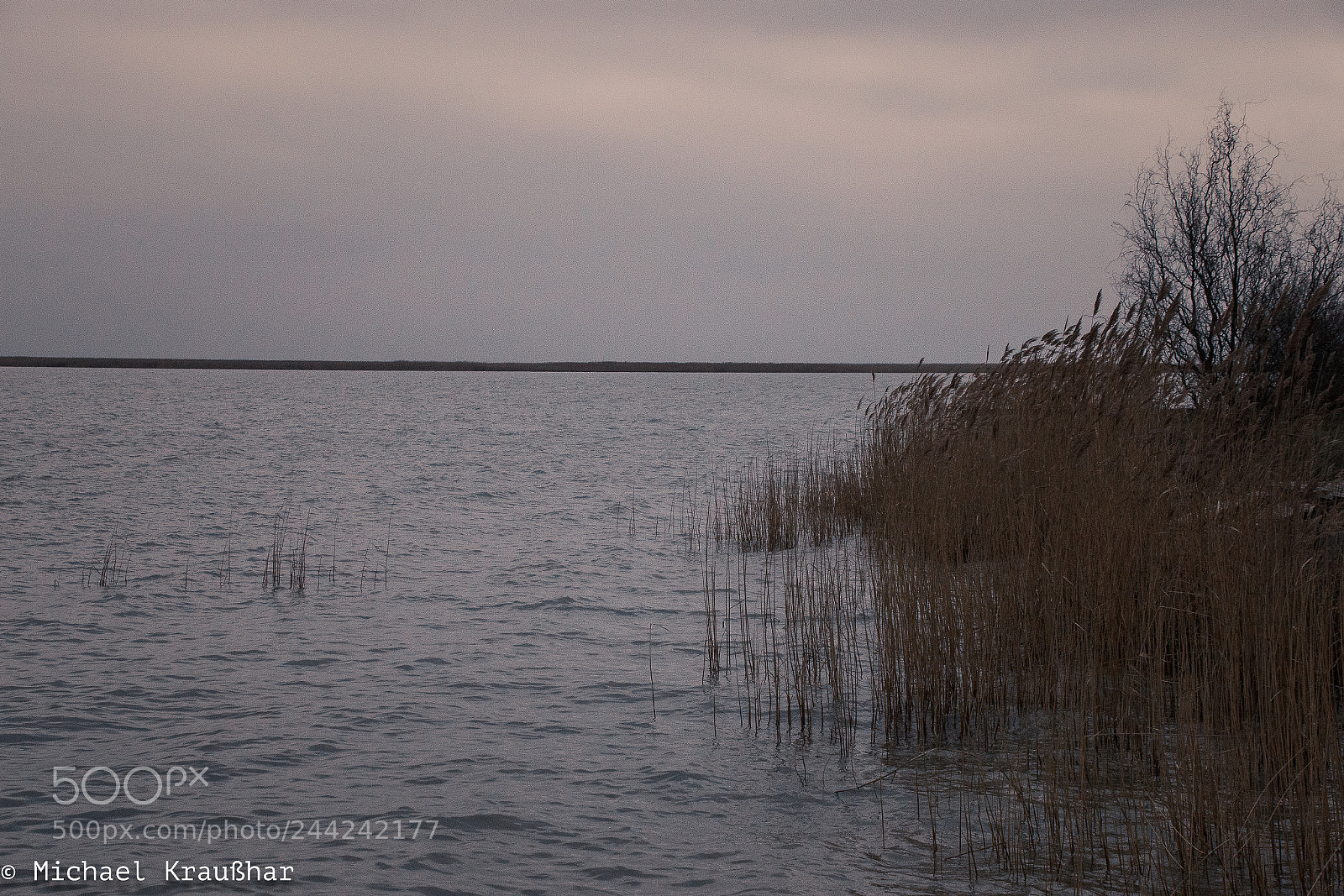 Canon EOS 70D sample photo. Neusiedlersee photography