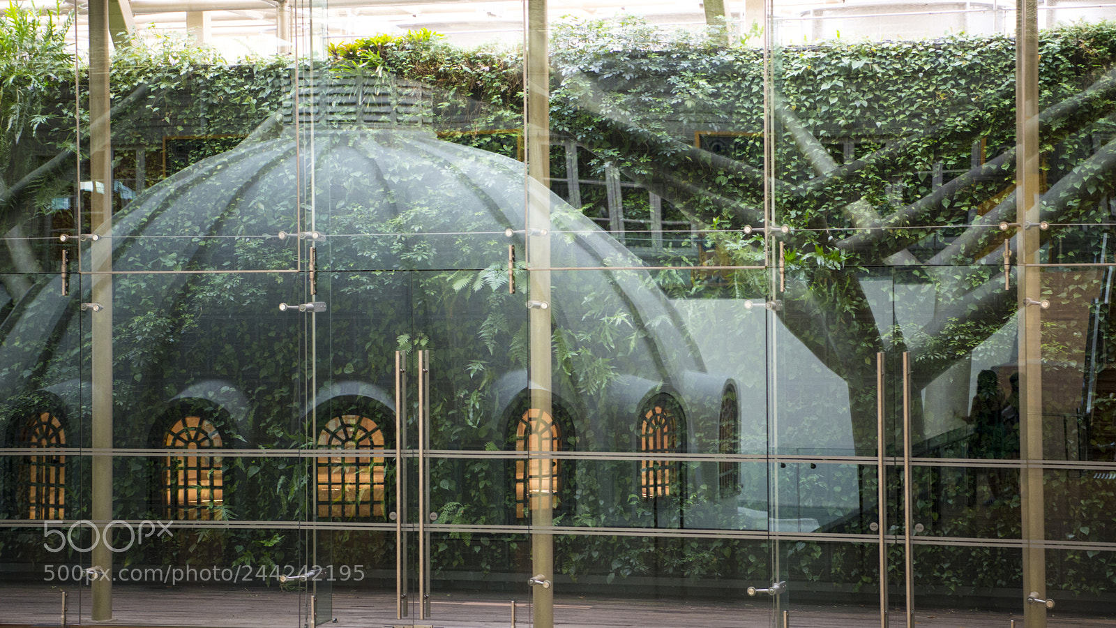 Nikon D800 sample photo. Ghostly dome photography