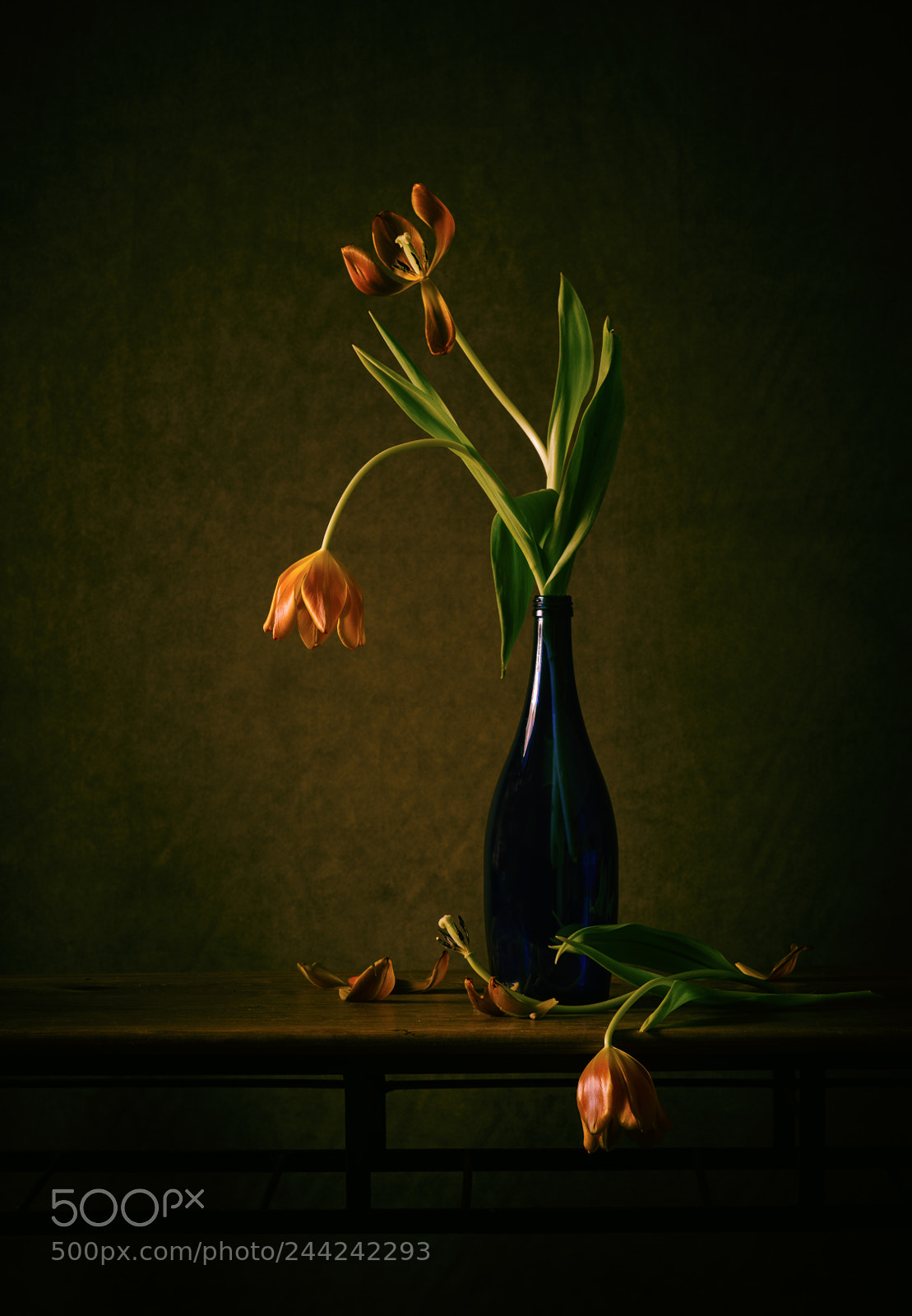 Nikon D800E sample photo. The end is near... photography