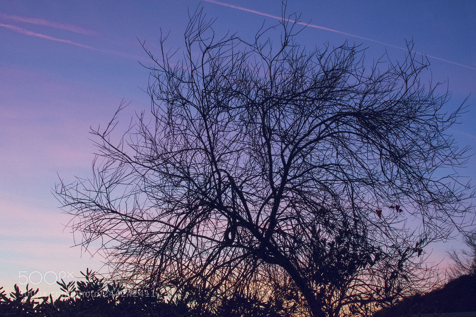 Nikon D3400 sample photo. Lungomare follonica photography