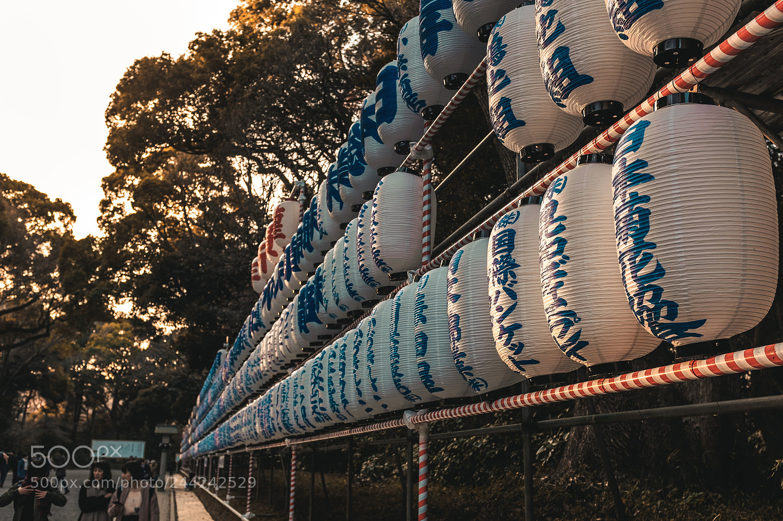 Fujifilm X100T sample photo. Lantern lines photography