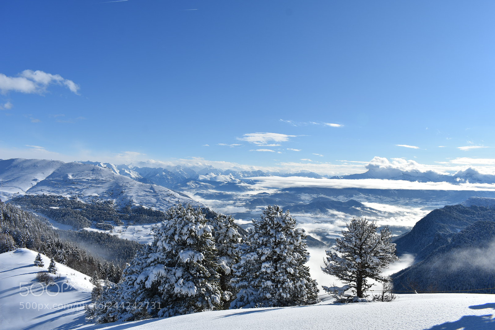 Nikon D3400 sample photo. Plateau du trieves photography