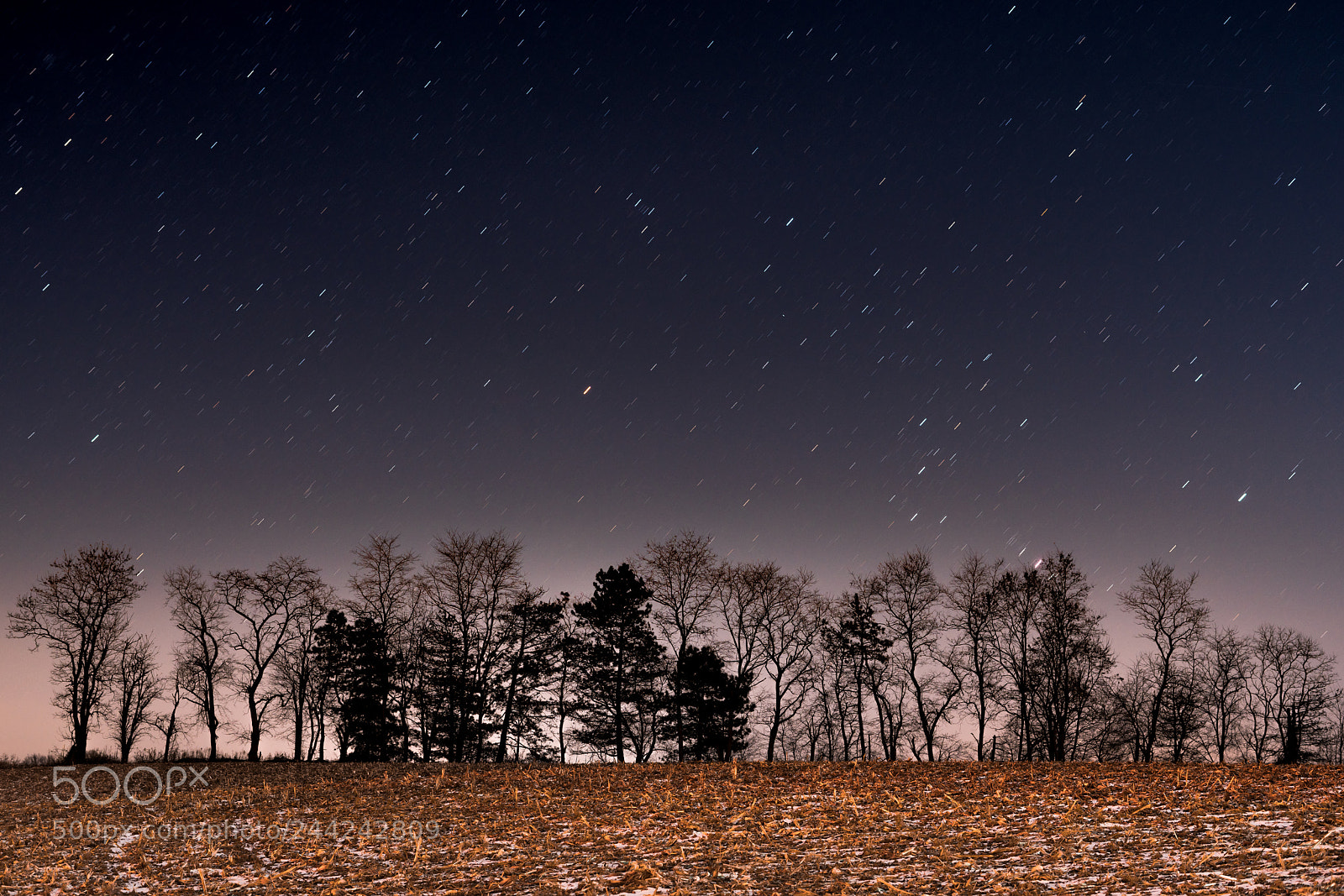 Sony a7R II sample photo. Night sky in cabot photography