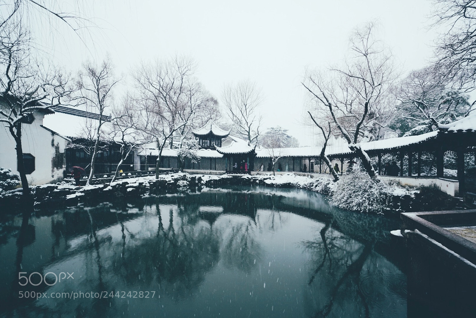 Sony a7R II sample photo. Chinese garden in snow photography