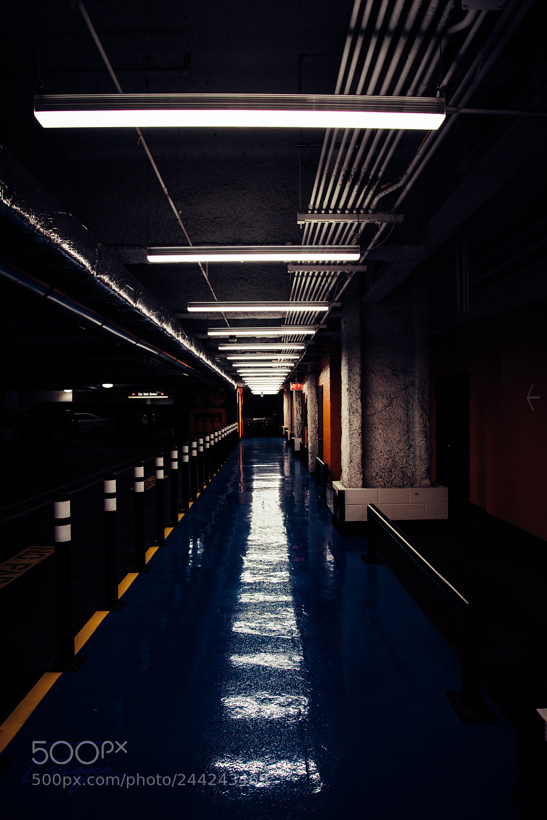 Nikon D610 sample photo. Follow the light.... photography