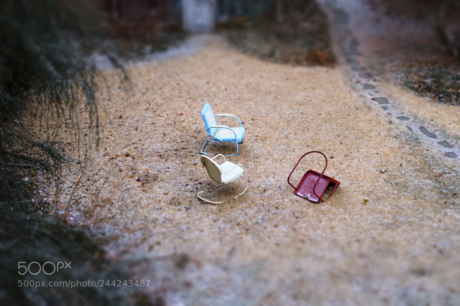 Fujifilm X-Pro2 sample photo. Wind-blown and frozen usa photography