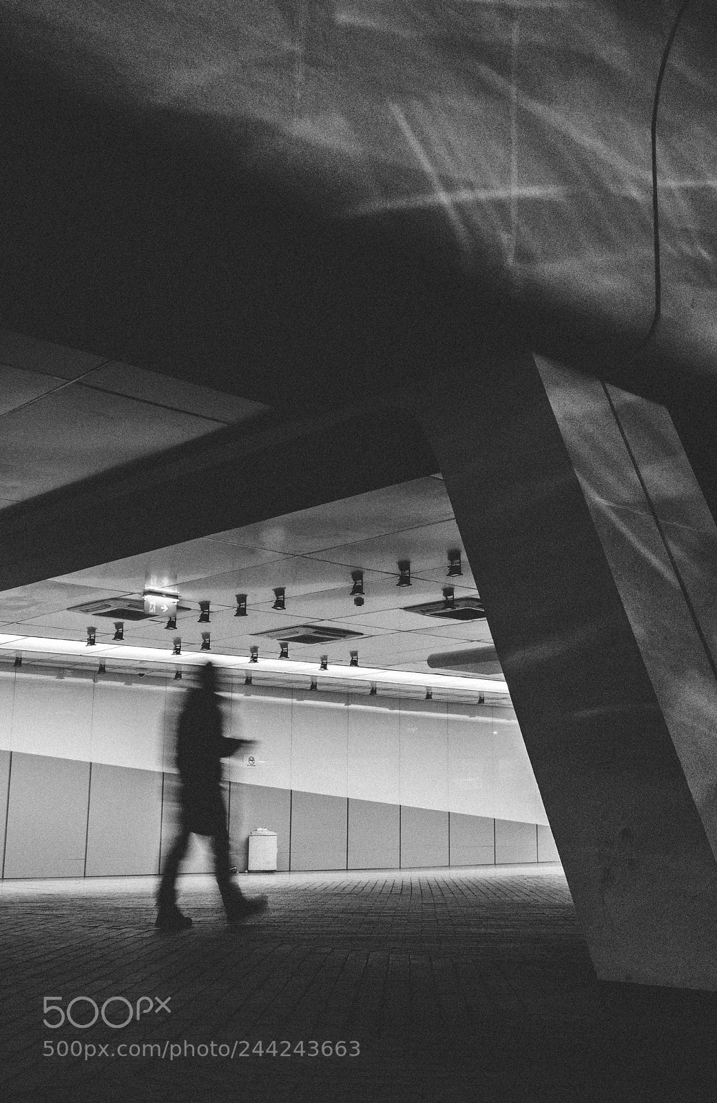 Canon EOS 760D (EOS Rebel T6s / EOS 8000D) sample photo. Walking away... photography