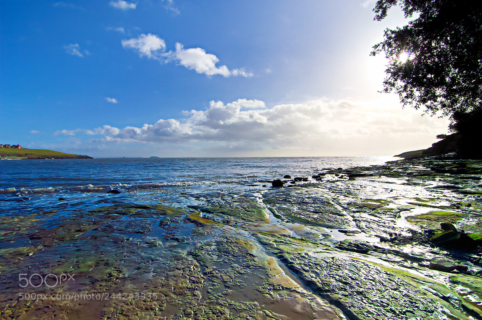 Nikon D3200 sample photo. Beach rock's low tide photography