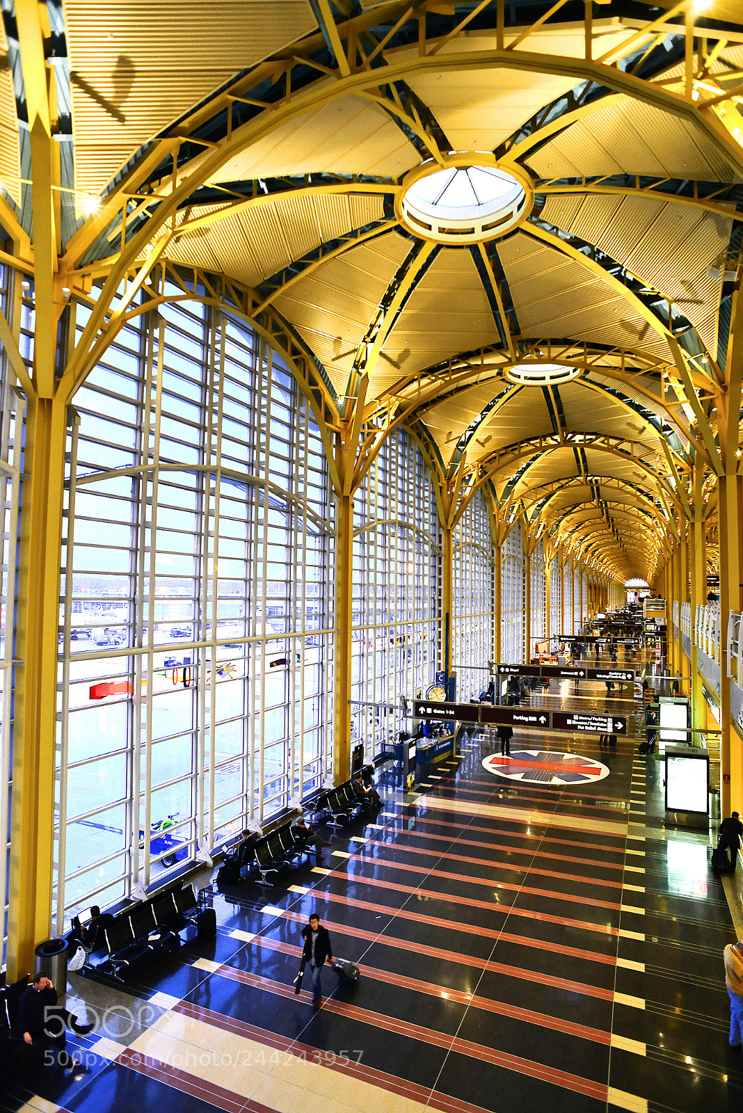 Nikon D800 sample photo. Grand halway photography