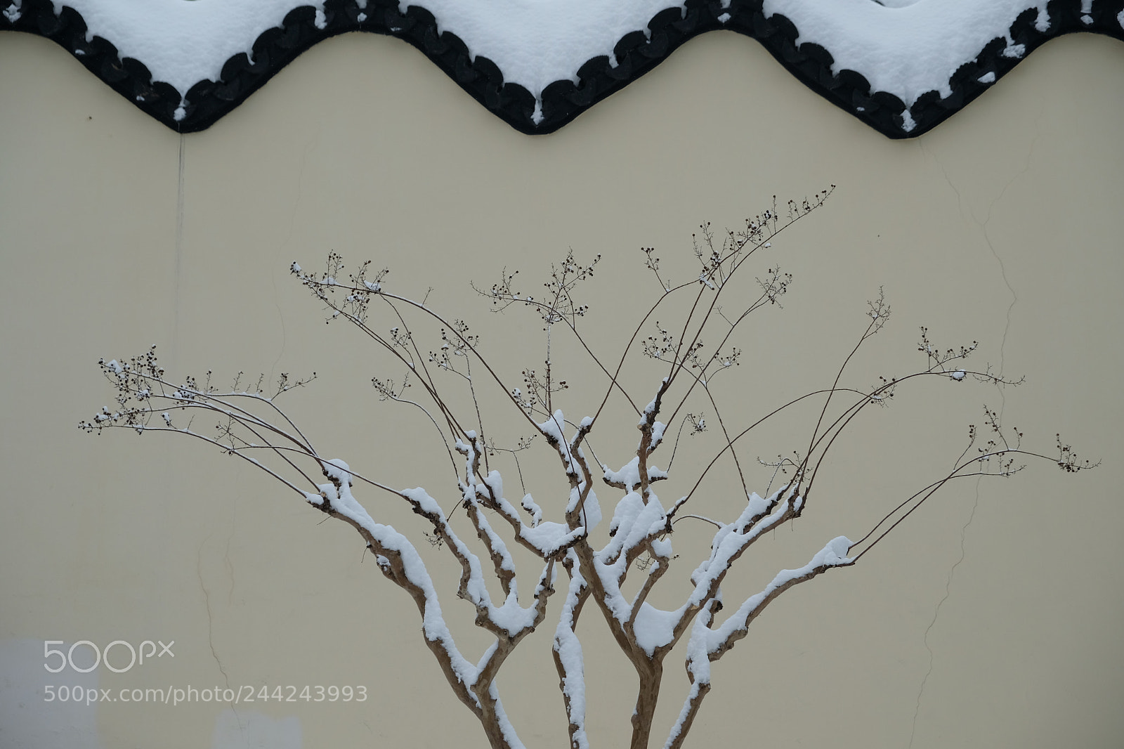 Fujifilm X-T20 sample photo. 南京总统府 photography