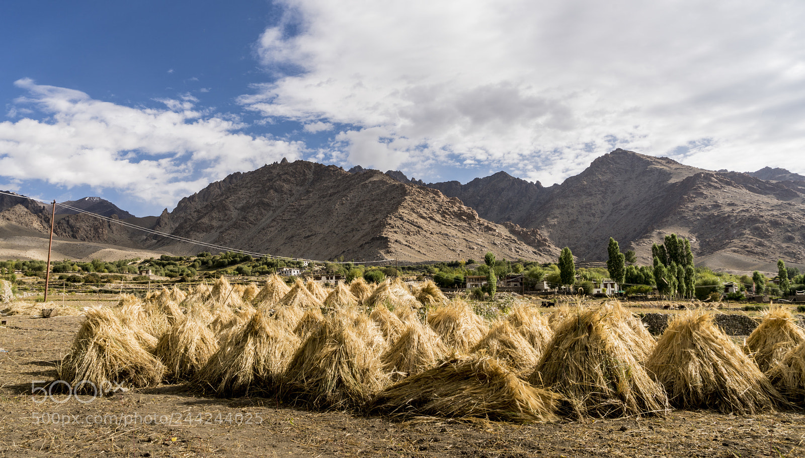 Sony a7R II sample photo. Ladakh - india's little photography
