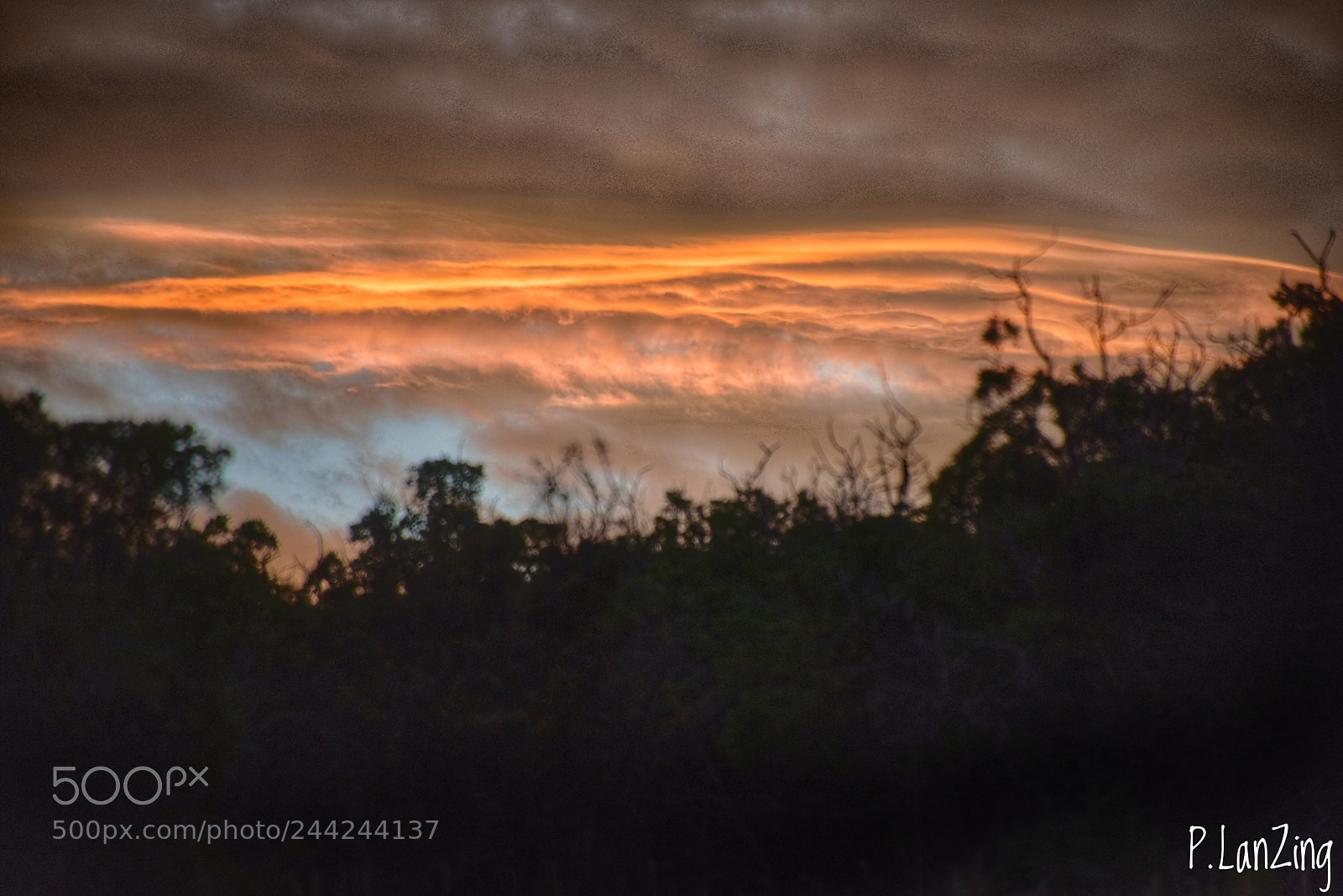 Nikon D810 sample photo. Morning sky photography
