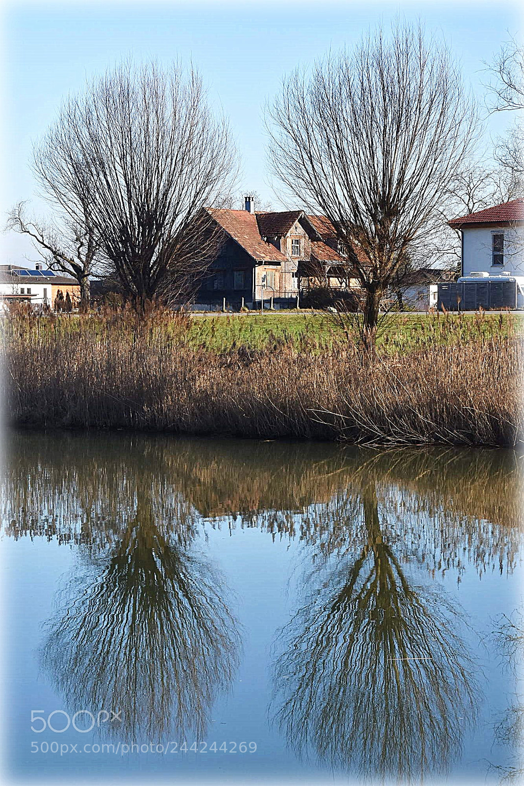 Nikon D7200 sample photo. "willows" photography