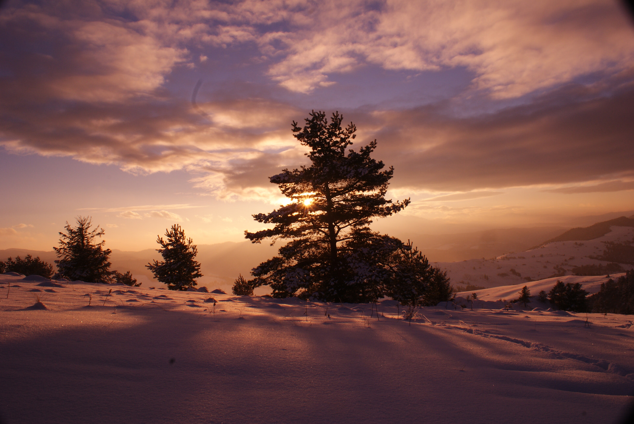 Sony Alpha DSLR-A300 sample photo. Winter sunset photography