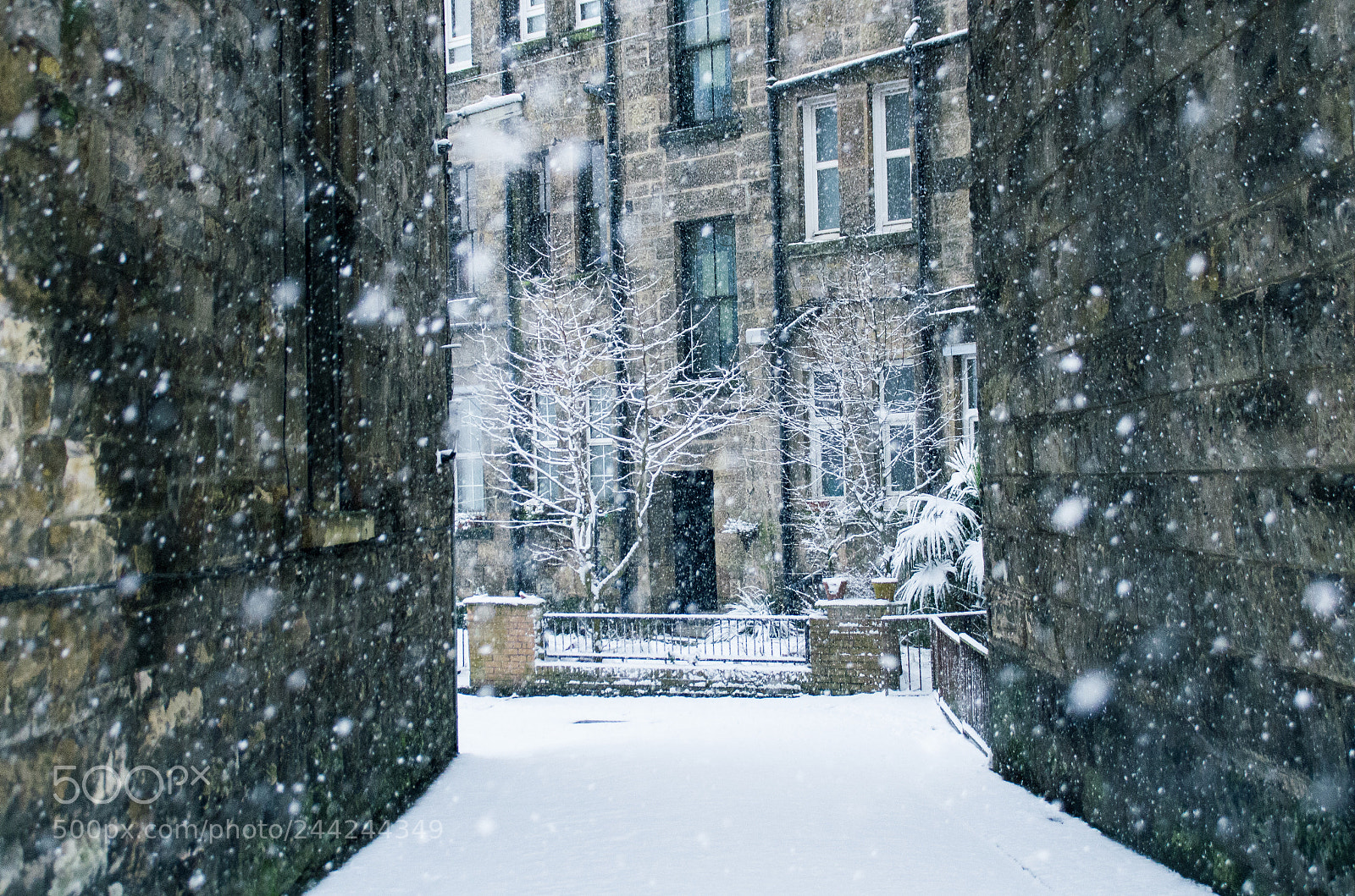 Pentax K-5 sample photo. Snow alley photography