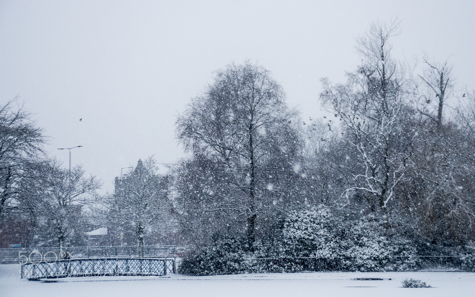 Pentax K-5 sample photo. Snow pond photography