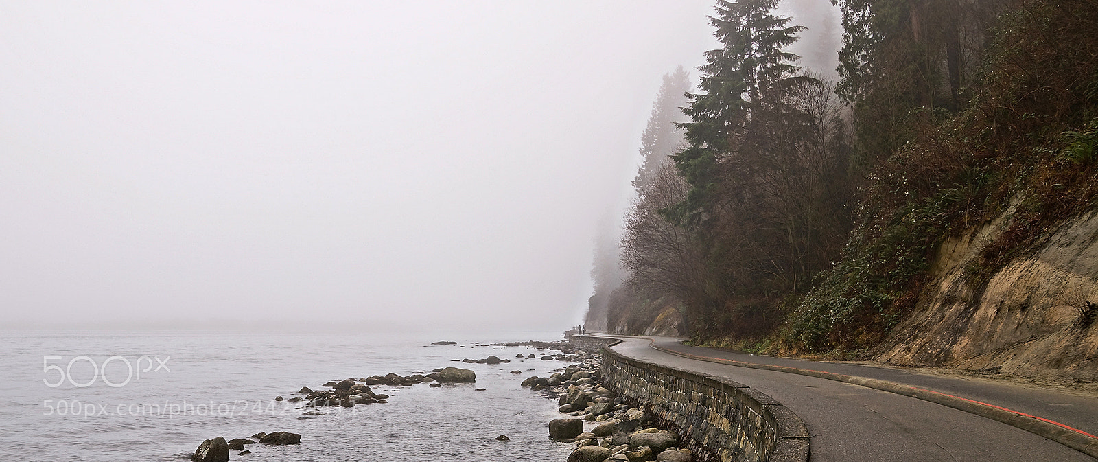 Sony SLT-A77 sample photo. Fogged in sea wall photography