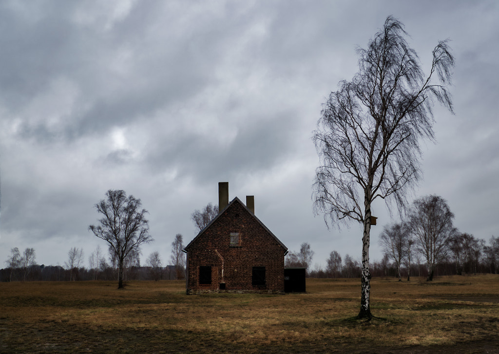 birch von dirk derbaum auf 500px.com