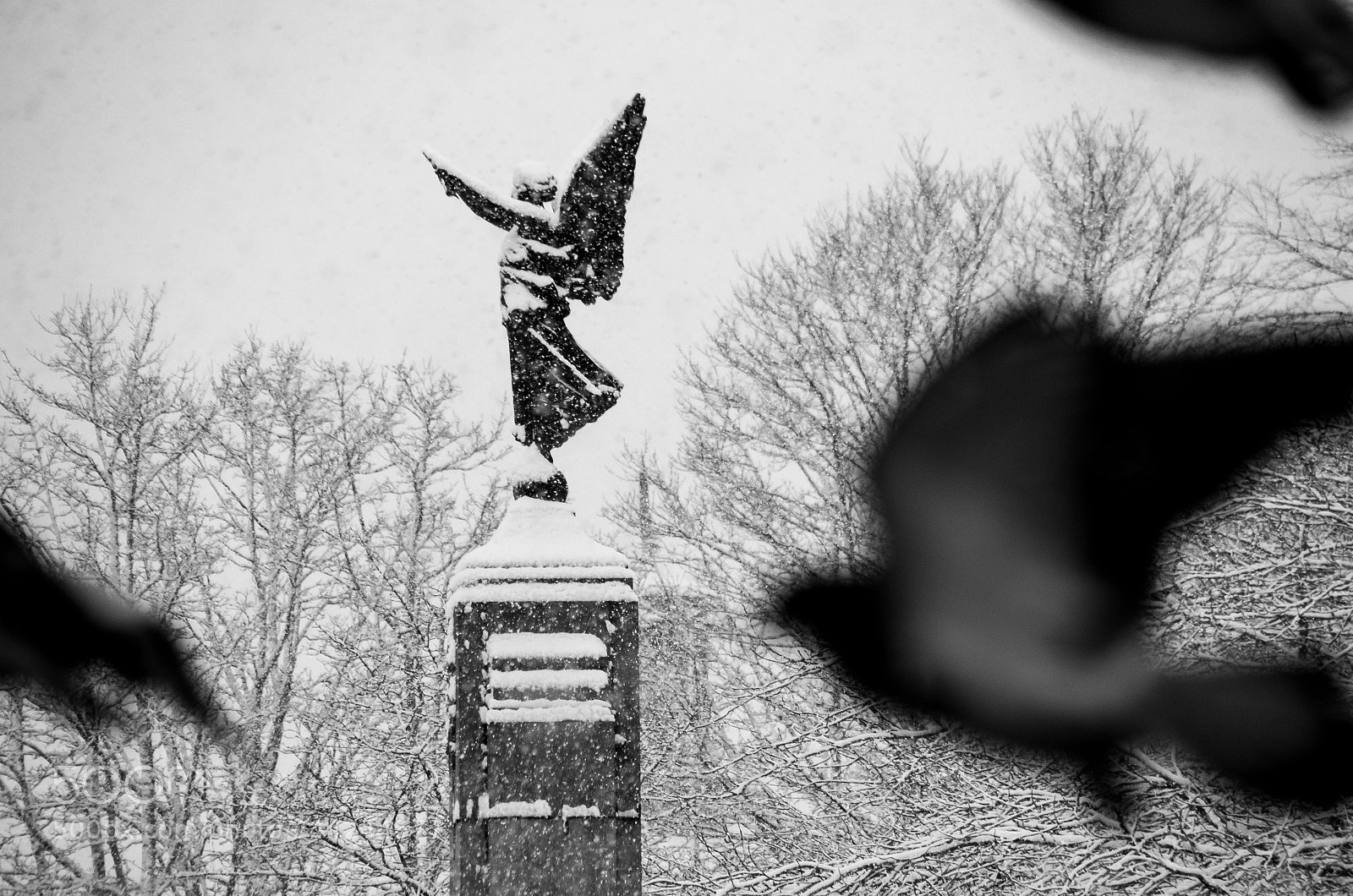 Pentax K-5 sample photo. Snow, angel and pigeons photography