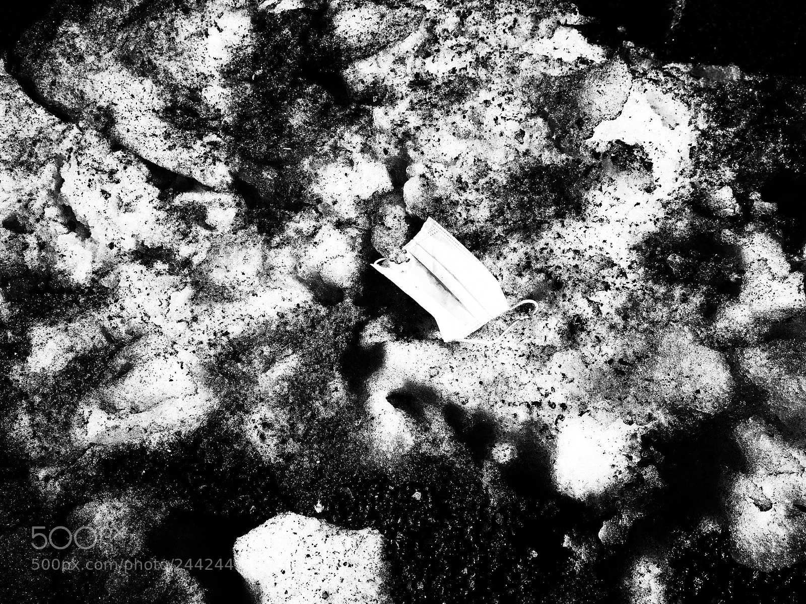 Ricoh GR II sample photo. Untitled photography