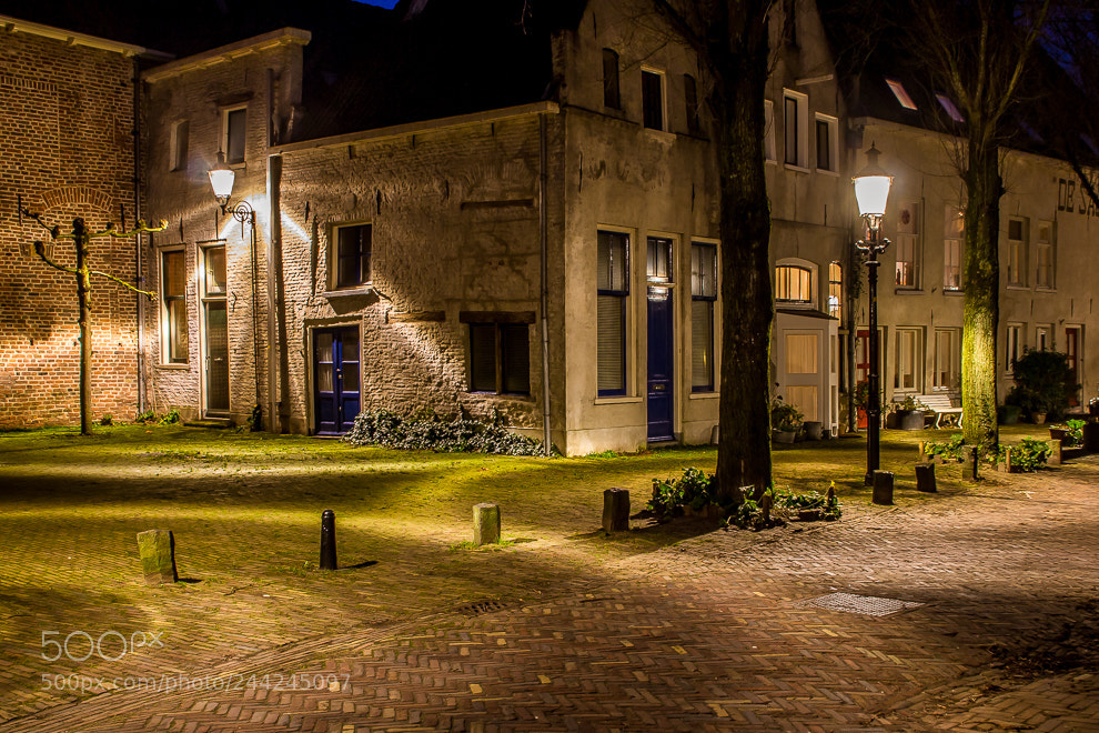 Canon EOS 60D sample photo. Circles of light photography