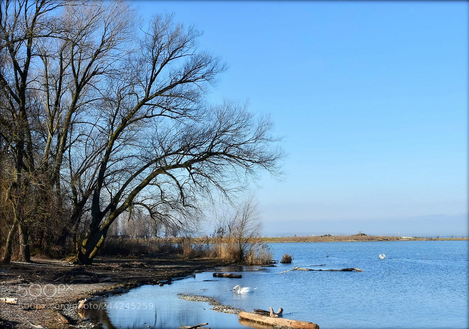 Nikon D7200 sample photo. "at the lake;konstanz" photography