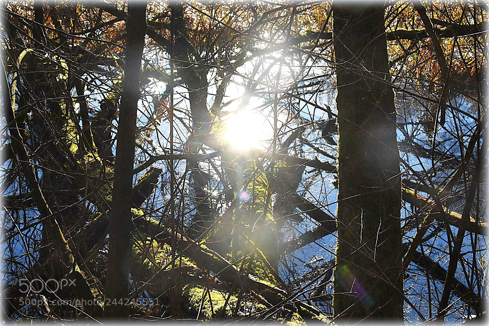 Nikon D7200 sample photo. "border" photography