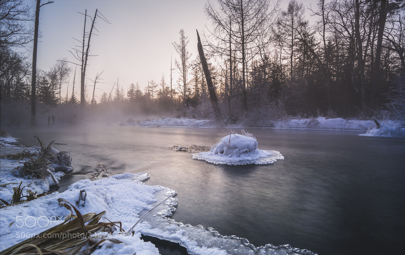 Sony a7 II sample photo. Magic zone photography