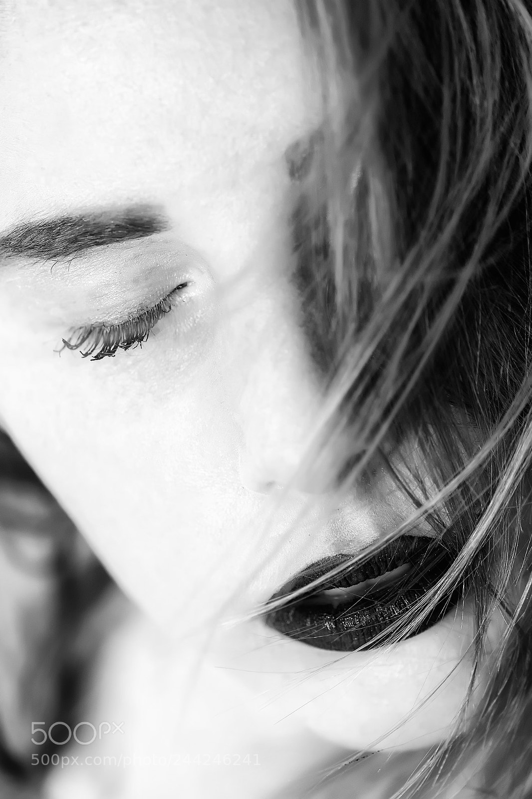 Nikon D5 sample photo. Sophie photography