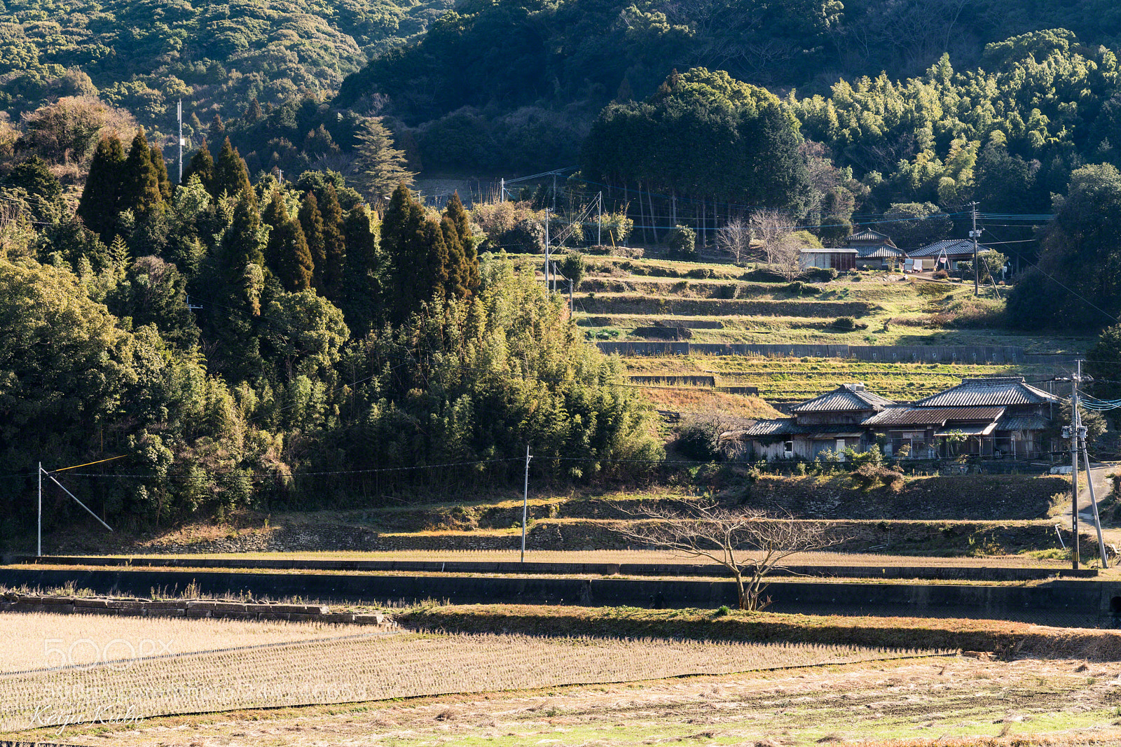Sony a7R III sample photo. Beautiful rural japan photography