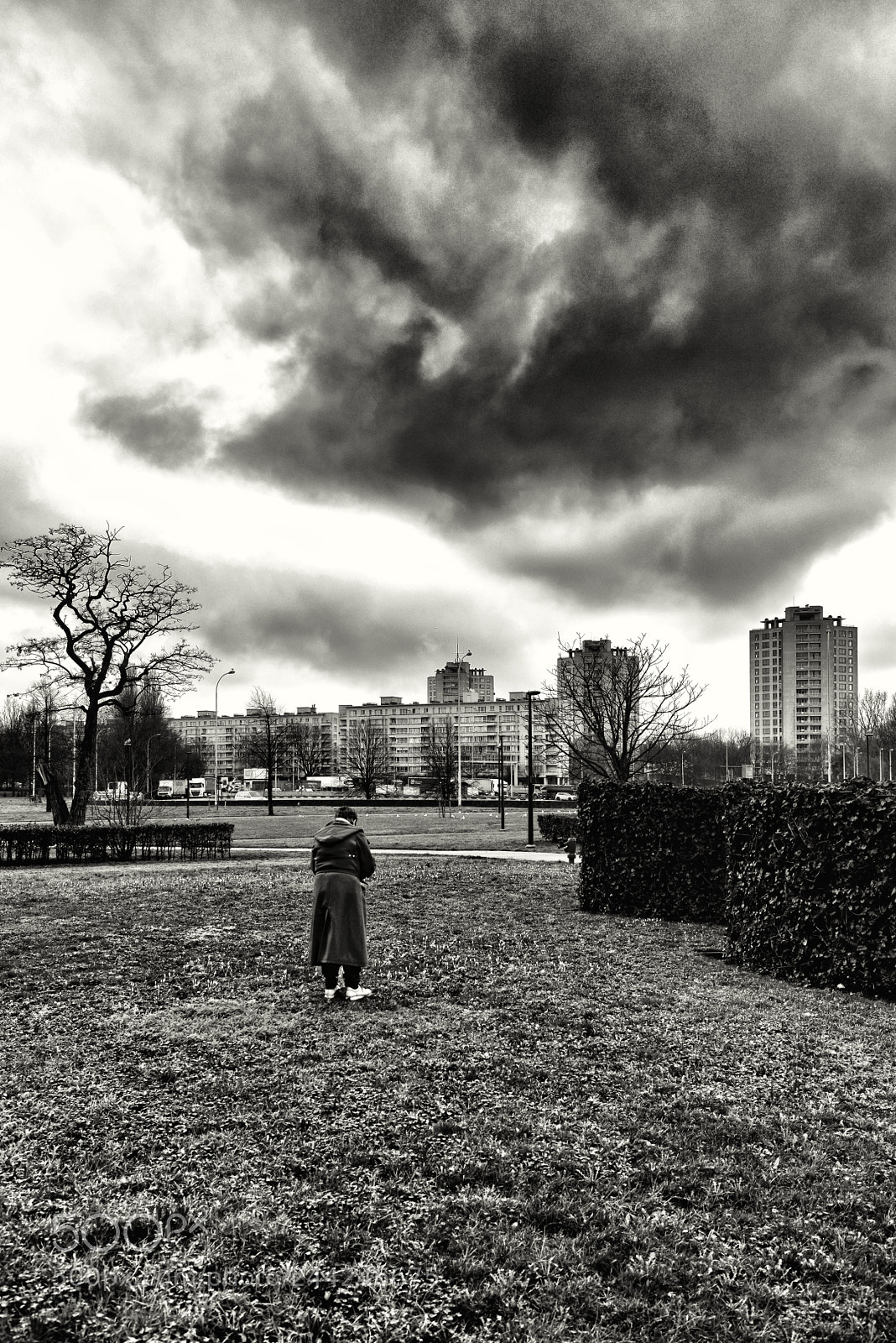 Nikon D810 sample photo. She...and the world photography