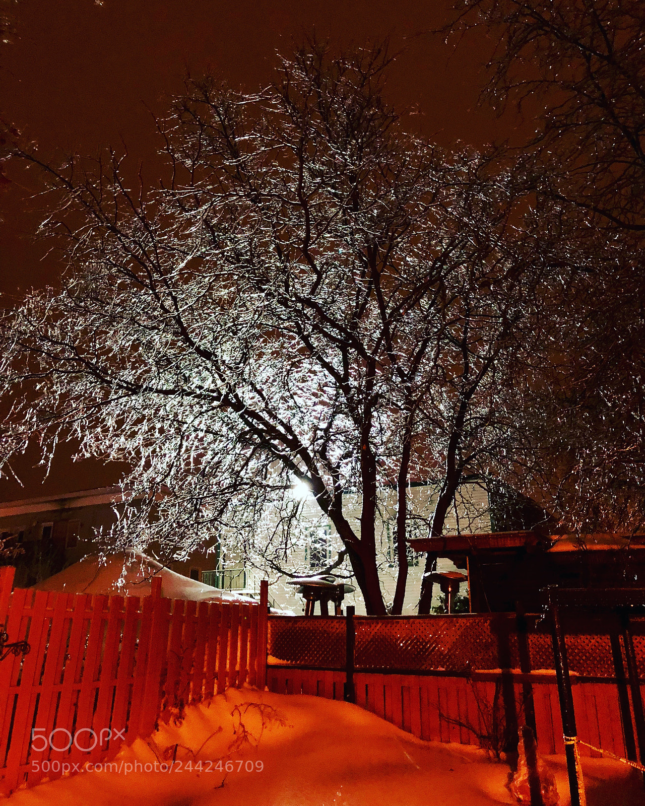 Apple iPhone 8 Plus sample photo. Winter magic photography