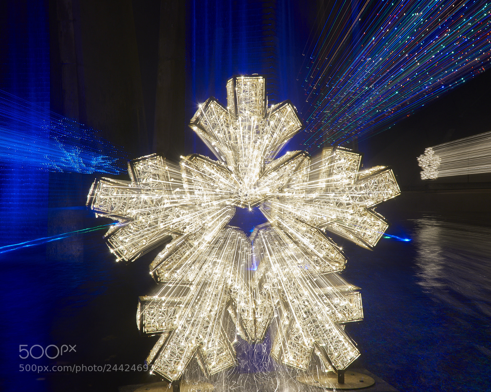 Nikon D810 sample photo. Denver botanic gardens blossom photography