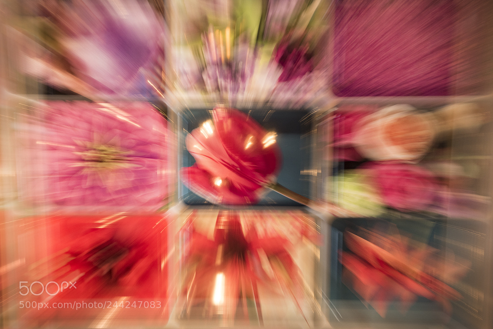Nikon D810 sample photo. Trays on bloom wall photography