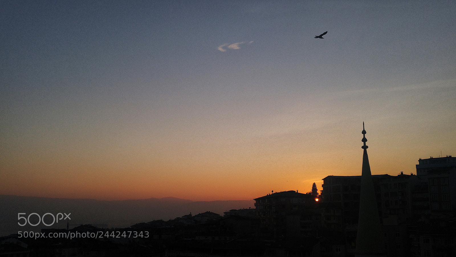 LG H818P sample photo. Untitled photography