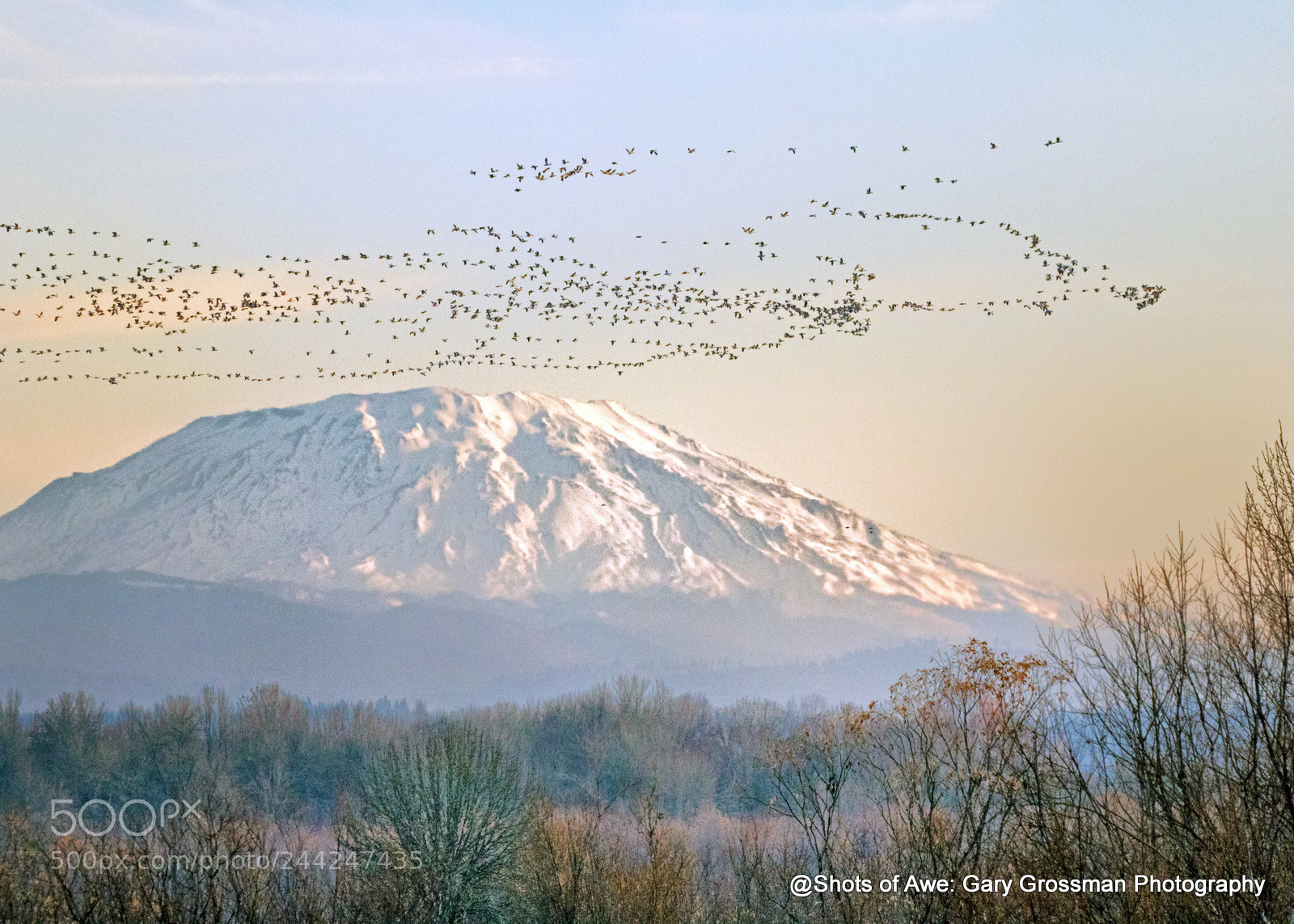 Canon EOS 7D Mark II sample photo. Dawn on mount st photography