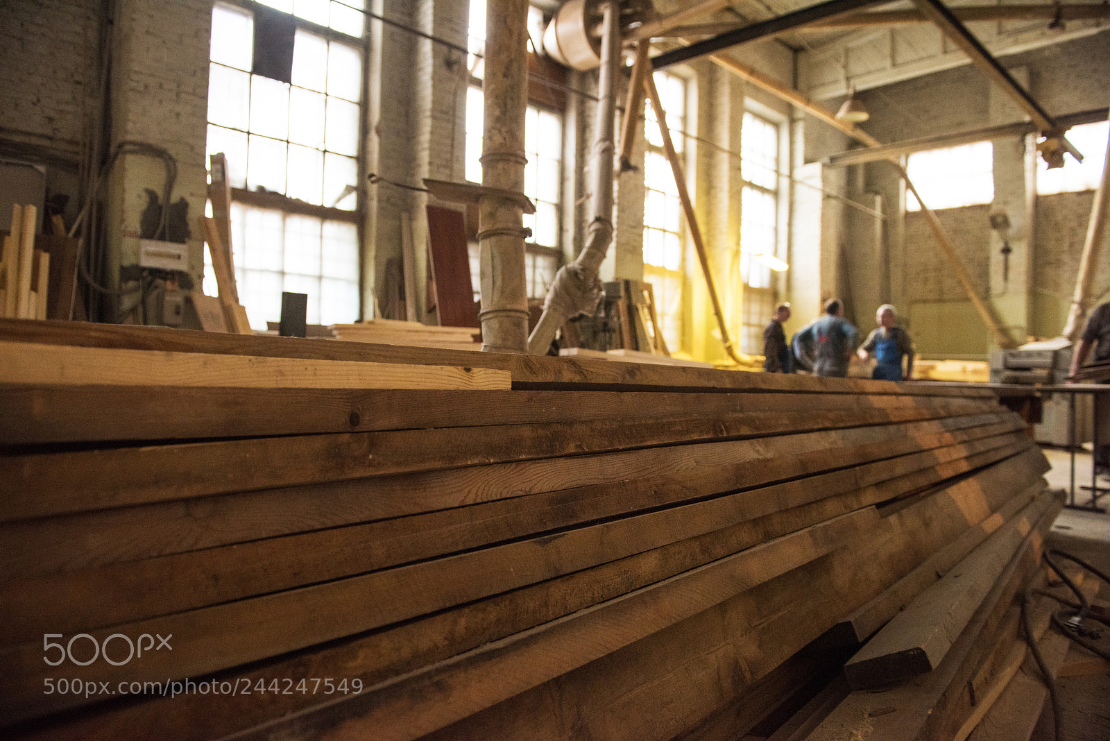 Nikon D810 sample photo. At the sawmill photography